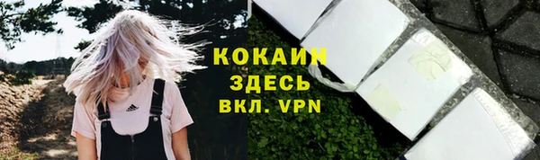 стаф Кинешма
