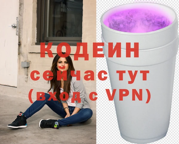МДПВ Козельск